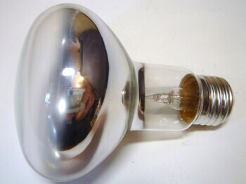 <p>
	Лампа накаливания зеркальныая 60 Вт, Concentra Spot R80, Osram, 322759</p>
